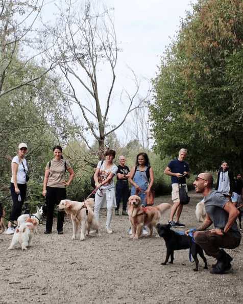Il tuo cane merita il meglio.
Scopri come unirti a noi.